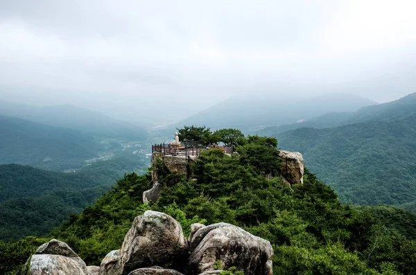 Sarıkeçililer 1000 yıl Yongseondae Cliff üzerinde bulunan eski taş Buda, Gwallyongsa Temple yakınındaki.