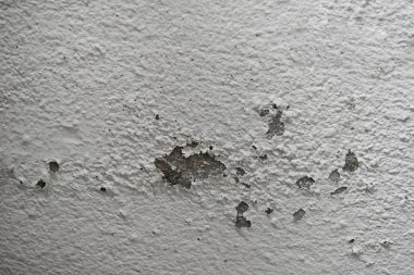 Aşırı neme kalıp ve boya duvar gibi soyulması neden olabilir.