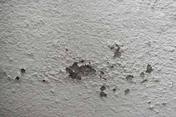 Aşırı neme kalıp ve boya duvar gibi soyulması neden olabilir.