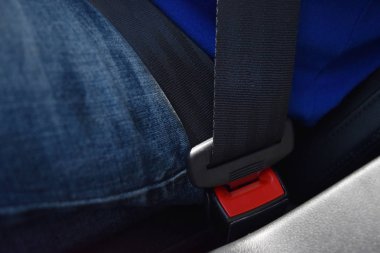 Yakın çekim erkek kot pantolon ve mavi gömlek emniyet kemeri takıyor kilitle.