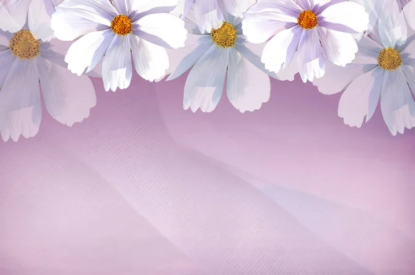Cores rosa tecido e flor branca fundo estilo vívido  . — Fotografia de Stock
