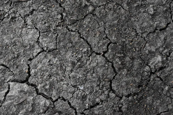 Superficie de una tierra seca grumosa que se agrieta reseca para el fondo textural. — Foto de Stock