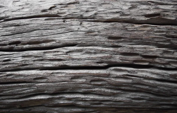 Madera dura de fondo y color de la naturaleza . —  Fotos de Stock