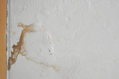  Aşırı neme kalıp ve boya duvar soyulması neden olabilir .