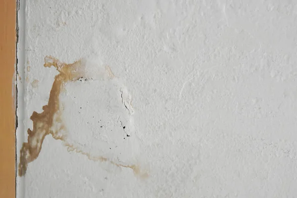 Избыточная влага может привести к плесени и шелушения стены краски  . — стоковое фото