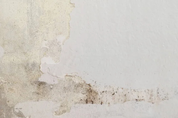 Rain water leaks on the ceiling causing cement damage, peeling paint and moldy.