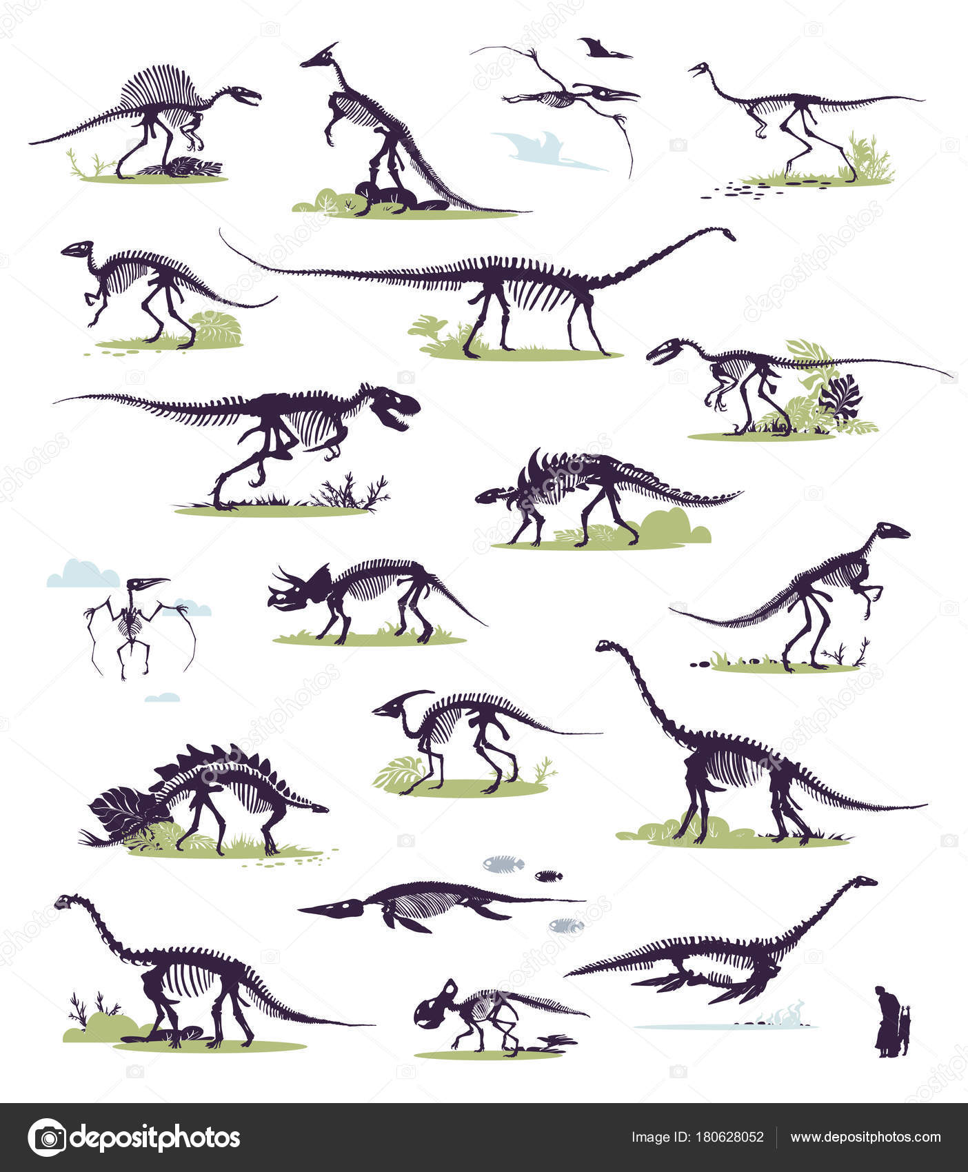pic Realistic Dinosaur Skeleton Drawing https depositphotos com 180628052 stock illustration set silhouettes dino skeletons dinosaurs html