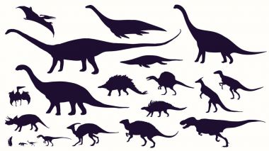 Download Dinosaur Bones Free Vector Eps Cdr Ai Svg Vector Illustration Graphic Art