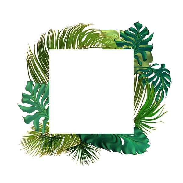 Set Foglie Palma Tropicale Collezione Vettoriale Disegnata Isolato Sfondo Bianco — Vettoriale Stock