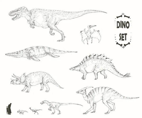 Uppsättning Realistiska Skisser Dinosaurier Och Fossil Hand Dras Vektorillustration Siluetter — Stock vektor