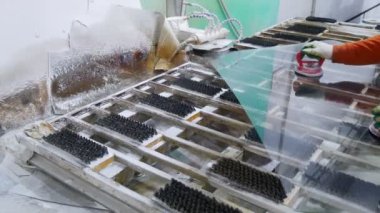 Şamandıra camları işleniyor. Plastik cam üretimi için ekin..