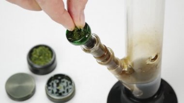 Arm puts the marijuana in the bowl for Smoking.Glass Bong for herb.