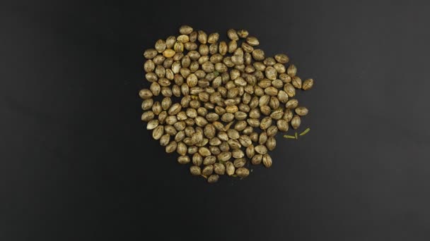 Cannabis seeds lying on a black background and rotating clockwise. — Stockvideo