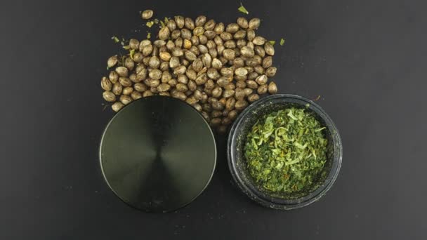 Triturador completo com moagem de maconha e ao redor são sementes de cannabis . — Vídeo de Stock