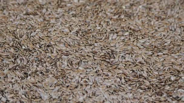 Un sacco di semi di lino ruotando primo piano . — Video Stock