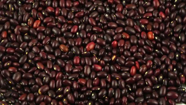 赤い豆が閉じます。円を描くように曲がります。楕円形、明るい穀物. — ストック動画