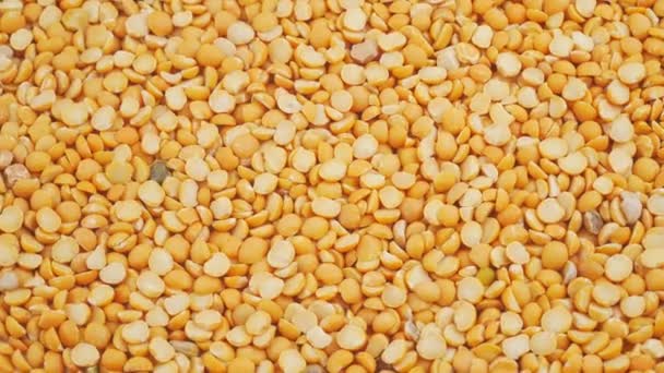 Peas.Dried beans.Closeup amarelo tiro gira. Colheita.Fundo natural . — Vídeo de Stock