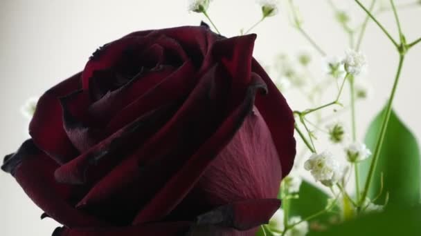 Röd rosen.Ikebana.Blomma i den torkade buketten. — Stockvideo