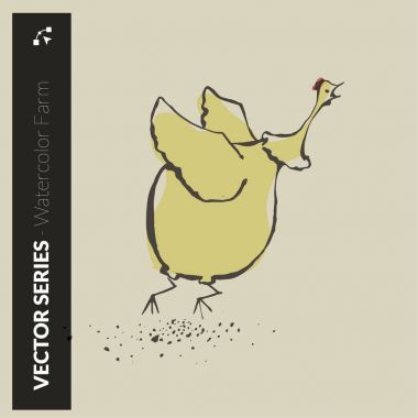 Tavuk suluboya sinek grupta