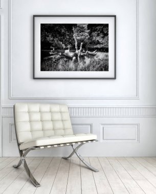 modern parlak iç mekan 3D resimleme