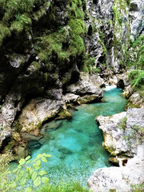 Slovence nehir güzel ama gerçekten soğuk