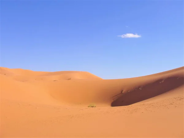 One Cloud Sahara Desert — Stock Photo, Image