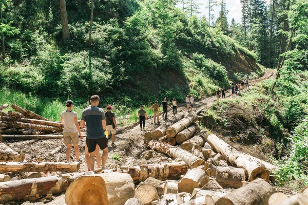 People walking through forest. hiking. The people walks a path in a hilly forest, back view