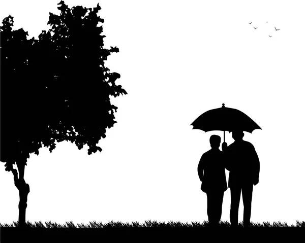 Lovely retired elderly couple walking under the umbrella in park — Stock Vector