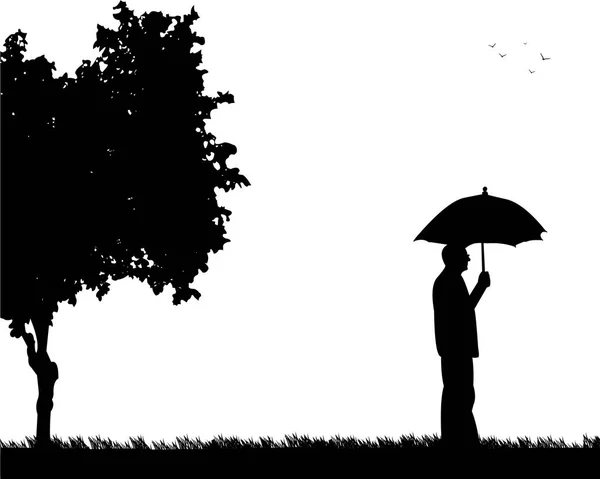 Precioso anciano retirado caminando bajo el paraguas en el parque — Archivo Imágenes Vectoriales