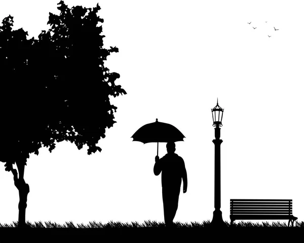 Joven caminando bajo el paraguas en el parque en otoño o otoño — Archivo Imágenes Vectoriales