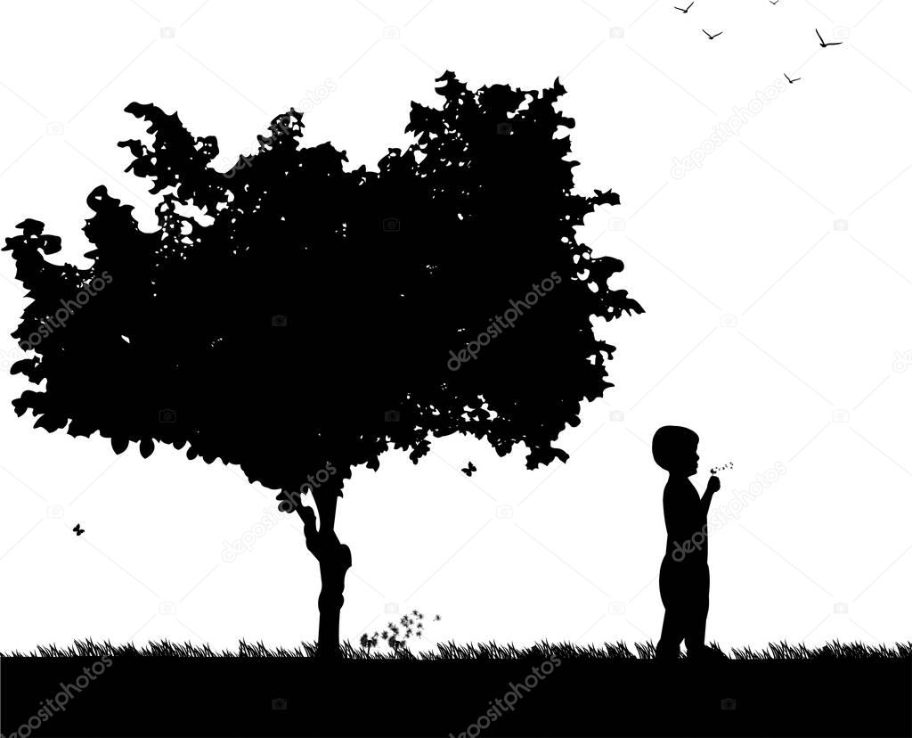 Boy blowing the dandelion in park under the tree silhouette, one in the series of similar images