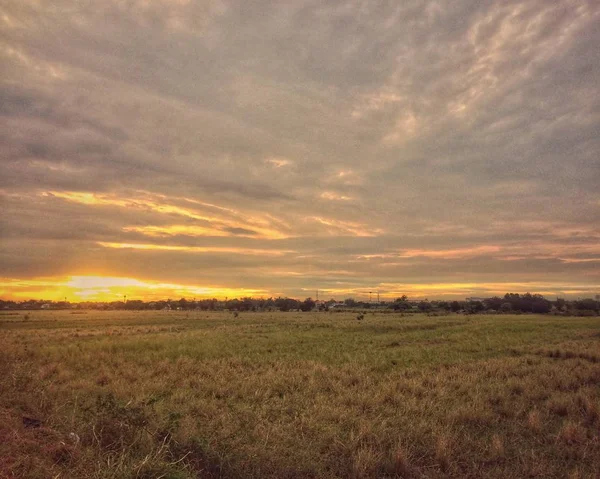 Alan, son ışığı