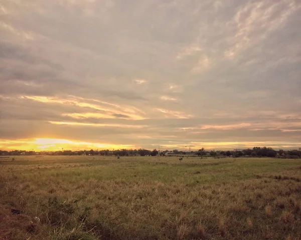 Last Light Field Stock Picture