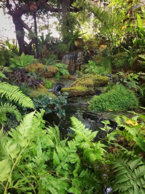 Doğa arka planda orman parkı