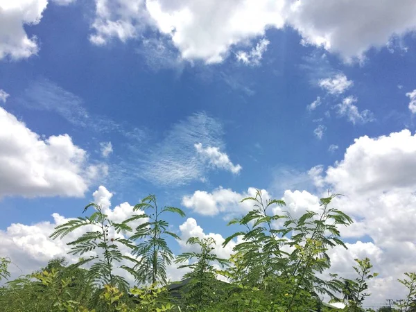 Ciel Bleu Avec Fond Nuageux — Photo