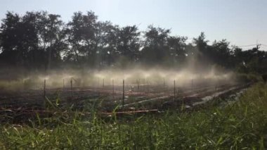 Açık bahar Bahçe Sulama