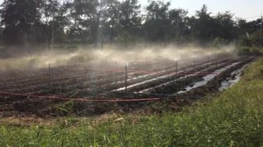 Açık bahar Bahçe Sulama