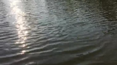 Altın güneş yol doğa Nehri üzerinde.