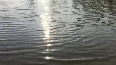 Altın güneş yol doğa Nehri üzerinde.