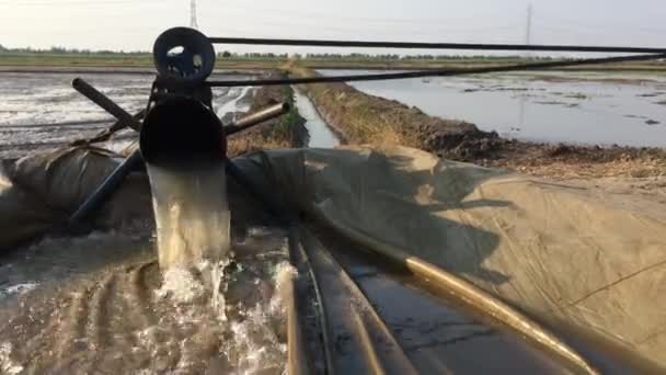 Ayutthaya Tailandia Abril 2018 Bombeo Agua Para Preparar Zona Arroz — Vídeo de stock