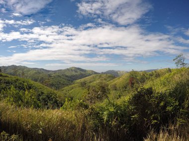 Dağdaki manzara manzarası
