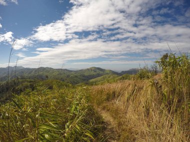 Dağdaki manzara manzarası
