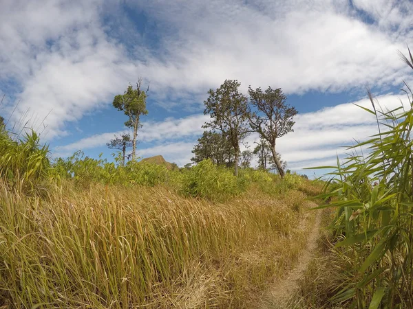 Uitzicht Landschap Natuur Berg — Stockfoto