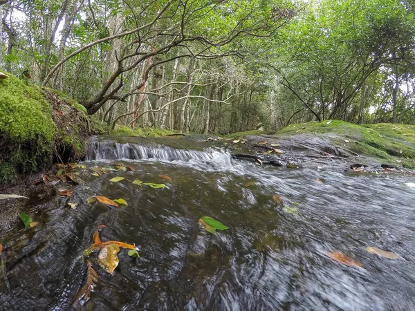 Quantité Eau Qui Écoule Niveau Cours Eau Est Inférieure Chaque — Photo