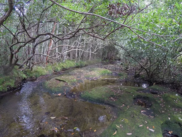 Quantité Eau Qui Écoule Niveau Cours Eau Est Inférieure Chaque — Photo