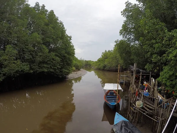 Barco Pesca Aldeões Estacionados Floresta Manguezais — Fotografia de Stock