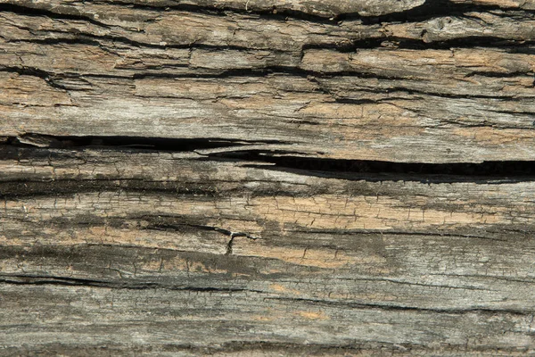 Textura Fondo Madera Agrietada Antigua —  Fotos de Stock