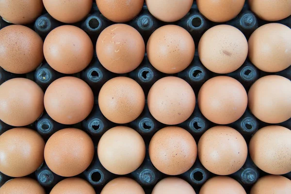 Ovos Recipiente Plástico Bandeja — Fotografia de Stock