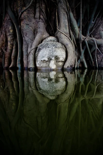 Buddha Head Tree Roots Inundan Wat Mahathat Ayutthaya Historical Park — Foto de Stock