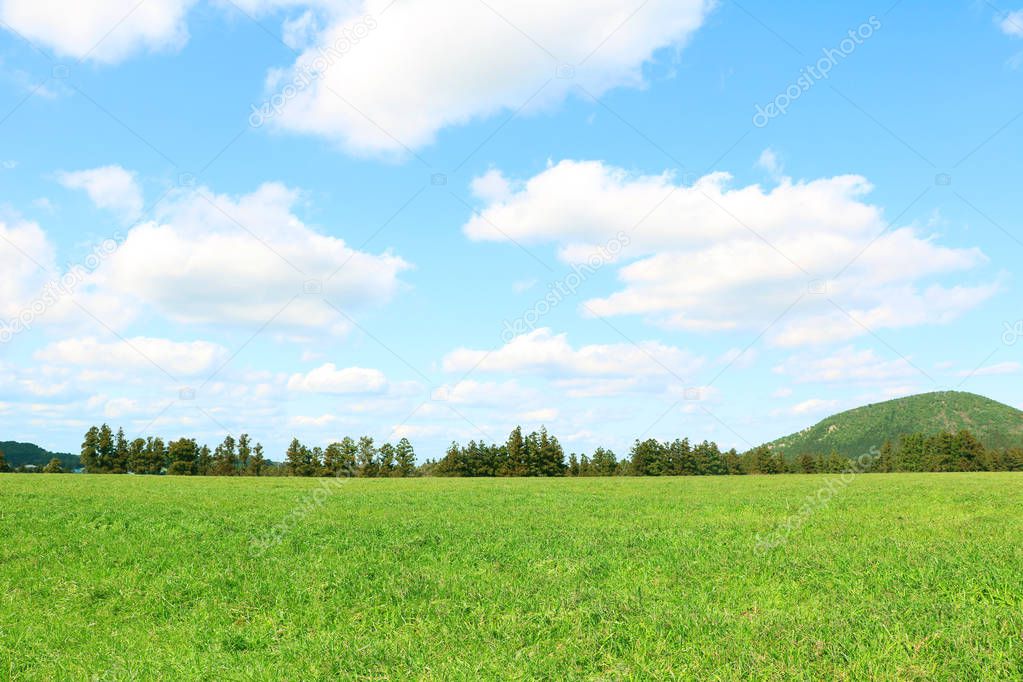 green field and blue sky.